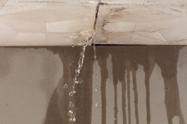 Professional Structural Drying technician working in Newport, ME